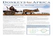 ISSUE 8 - AUGUST 2018 The right to thrive · 2018-08-14 · Promoting communication about donkey welfare in Africa ISSUE 8 - AUGUST 2018 DONKEYS for AFRICA DONKEYS for AFRICA AUGUST