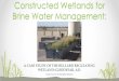 Constructed Wetlands for Brine Water Management...Economic Analysis Cost of 10 MGD Concentrate Management (millions of dollars) 10 MGD Regulating Wetlands Yuma pipeline Injection wells*