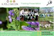 Training Presentation - OPAL · 2019-05-02 · Pollinator Groups: Solitary Bees 3. Solitary bees Long antennae Two pairs of see-through wings Narrower body than bumblebee, 3-15mm