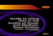 Guide to Using ISAs in the Audits of Small- and Medium ... · Review, Other Assurance, and Related Services Pronouncements. ... on the audit of small- and medium-sized entities, but