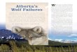 Alberta’s W Wolf Failures · Wolf Matters () Canadian naturalist and hunter Kevin Van Tighem is the award-winning author of several books and more than 200 articles, stories and