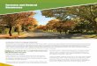 Forestry and Natural Resources - Purdue University · INTRODUCTION TO URBAN FORESTRY Urban forestry is a program that invests in the future of the community. Considerations for planning
