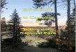 RV Guide to Camping in Yellowstone National Parkknowyourcampground.com/wp-content/uploads/2018/09/RV... · RV Guide to Camping in Yellowstone National Park _____ 5 Introduction The