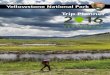 Yellowstone National Park 2017-03-23¢  Yellowstone National Park . Explore Yellowstone Safely Stay on