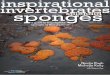 inspirational invertebrates sponges splendid › static › web › MarineIdentificationGuide...SPLENDID SPONGES - A GUIDE TO THE INTERTIDAL SPONGES OF NEW ZEALAND is a fully illustrated
