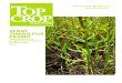 FUNGICIDE GUIDE APRIL 2018 TOP CROP › images › FungicideGuides › WTC_… · FUNGICIDE GUIDE APRIL 2018 topcropmanager.com SPRAY TIMING FOR PASMO Finding the best fungicides
