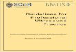 Guidelines for Professional Ultrasound Practice › static › uploads › resources › ... · SCoR/BMUS Guidelines for Professional Ultrasound Practice. Revision 4, December 2019