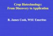 Crop Biotechnology: From Discovery to Application€¦ · Crop Biotechnology: From Discovery to Application R. James Cook, WSU Emeritus . Crown Gall on Grape . E.F. Smith and C.O