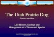 The Utah Prairie Dog - U.S. Fish and Wildlife Service...The Utah Prairie Dog Order - Rodentia Family – Sciuridae Genus - Cynomys 5 species of prairie dogs in N. America: Black Tailed,