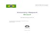 Brazil country report final - globalbioenergy.org · Introduction This is the second edition of Brazil's Country Report, prepared in the context of the IEA Bioenergy Task 40 Sustainable