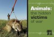 of warvictimsthe hidden Animals...This booklet is dedicated to the animals who have lost their lives in the course of human conflict. May these hidden victims of war rest in peace