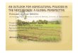 AN OUTLOOK FOR AGRICULTURAL POLICIES IN THE NEXT …agri.eco.ku.ac.th/pdf/schmitz.pdf · AN OUTLOOK FOR AGRICULTURAL POLICIES IN THE NEXT DECADE: A GLOBAL PERSPECTIVE ... distortions