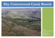 Dry Cottonwood Creek Ranch - Clark Fork Coalitionclarkfork.org/wp-content/uploads/2019/08/DCCR-Listing... · 2019-08-15 · Dry Cottonwood Creek Ranch is a unique offering located