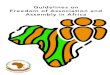 Guidelines on Freedom of Association and Assembly in Africa · the Report of the Study Group on Freedom of Association and Assembly in Africa; Recalling Resolution 319 (LVII) 15 on