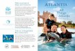 All Things Atlantis€¦ · Explore the Lost City Complimentary self- guided tour maps for The Dig/Ruins Lagoon are available at any Discover Atlantis counter. The Dig/Ruins Lagoon