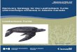 Recovery Strategy for Leatherback Turtle (Dermochelys ...€¦ · Recovery Strategy for Leatherback Turtles in Atlantic Canadian Waters December 2006 ‘provide advice to relevant