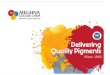 MCC - Brochure - Meghna · Production Facilities Meghna Colour Chem (MCC) has its production facilities situated in vapi which is 170kms from mumbai (india). the production facilities