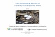 The Breeding Birds of - tommythompsonpark.ca...natural habitat on the Toronto waterfront, both through natural succession and habitat enhancement projects by TRCA. A variety of vegetation