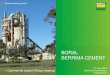 BORAL BERRIMA CEMENT · 2019-08-20 · ˃ Boral to provide access to independent support to assist with understanding of information ... ˃ The SWDFs we are using at Berrima include