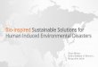 Bio-inspired Sustainable Solutions for Human Induced Environmental ...€¦ · Bio-inspired Sustainable Solutions for Human Induced Environmental Disasters Tarun Kumar . Indian Institute