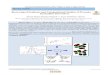 Reviewing of Synthesis and Computational Studies of ... · derivatives are shown to exhibit anti-amoebic activity [7-13] and are potential anti-inflammatory agents [14, 15], anti-coagulation