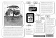 Introduction to Permaculture, 11. Principle of …...2016/04/11  · on. (From: Mollison and Slay, 1991, Introduction to Permaculture, p. 22) In every ecosystem different plant species