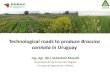 Technological roads to produce Brassica carinata in Uruguayprograms.ifas.ufl.edu/.../Carinata-2017-Uruguay...Results Avanza vs. Rivette (B. napus) - Yields 4940 3492 2355 1569 1836