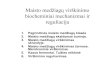 Maisto medžiagų virškinimo biocheminiai mechanizmai ir ...julivan/MF%20... · Maisto medžiagų virškinimo biocheminiai mechanizmai ir reguliacija 1. Pagrindinės maisto medžiagų