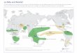 La Niña conditions in the tropical Pacific are known to shift … · 2016-05-27 · La Niña conditions in the tropical Pacific are known to shift rainfall patterns in many different