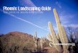 Phoenix Landscaping Guide · Phoenix Landscaping Guide Author: Sarah Hutchinson Subject: Discover four strategies for landscaping in the southwest. See examples of Phoenix landscapes