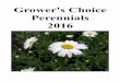 Grower's Choice Perennials 2016 · Silver, near-white serrated foliage with a soft texture resembles Dusty Miller. R T Silver Mound 10-12” Zones 3-8 Summer Compact mounding plant
