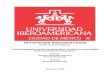 Universidad Iberoamericana · PDF file aplicaciones en las que puedes compartir fotos y videos como Instagram, Snapchat, YouTube y Vine“Nos hemos transformado de medios a medios