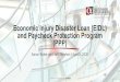 Economic Injury Disaster Loan (EIDL) and Paycheck Protection Program (PPP) · 2020-04-08 · Economic Injury Disaster Loan (EIDL) and Paycheck Protection Program (PPP) Aaron Boker