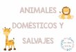 ANIMALES DOMÉSTICOS Y SALVAJES · 2020-05-12 · algunos animales domÉsticos cerdo cabra conejo gallo gallina gato oveja vaca burro perro canario caballo. animales salvajes. los