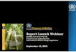 Report Launch Webinar - Finance InitiativeReport Launch Webinar September 13, 2011 Andrew Mitchell A leading international authority on forests and climate change, Andrew is an impassioned