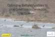 Optimizing Wetland Functions to Local Conditions in ... · Optimizing Wetland Functions to Local Conditions in Connection to Quarries By Emma Svahn, Marcus Hall, and Sandra Nilsson