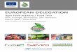 EUROPEAN DELEGATION · 2019-03-05 · • Health & nutritional food products • And connected food (combination of food and information technology services). The project provides