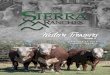 Western Treasures - American Hereford Association · INSPECTION OF CATTLE Cattle will be at the sale site and available for inspection at the SALE LOCATION: 1412 Albers Road, Modesto,