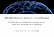 BNNI2015 Summer School in Neuroinformatics Multiscale ... · Computational neuroscience is the field of study in which mathematical tools and theories as well as computer simulations
