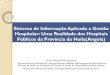 Sistema de Informação Aplicada a Gestão Hospitalar: Uma ... · Sistema de Informação Aplicada a Gestão Hospitalar: Uma Realidade dos Hospitais Públicos da Província da Huila(Angola)