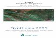 Final Final Synthesis Report 2005 - gov.uk · five different Themes. Nine benchmark river basins have been selected that present diverse biophysical, socioeconomic and institutional
