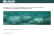 Status and Threats Analysis for the Florida Manatee ... · Status and Threats Analysis for the Florida Manatee (Trichechus manatus latirostris), 2012 3 are filled. To reflect the