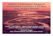 Impacts of hydrological changes on phytoplankton ... · Impacts of hydrological changes on phytoplankton succession in the Swan River, Western Australia Terence U. Chan, Barbara J