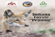 Indiana Coyote - Animal Welfare Institute 2017-05-15¢  indiana coyote ¢â‚¬“penning¢â‚¬â€Œ 3 trapping seasons,
