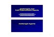 Antifungals and Anti-Tuberculosis Agents · 2005-11-10 · 1 Antifungals and Anti-Tuberculosis Agents Christine Kubin, Pharm.D., BCPS Clinical Pharmacist, Infectious Diseases NewYork-Presbyterian