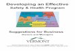 Developing an Effective - VermontDeveloping an Effective Safety & Health Program Suggestions for Business ... Steps for Developing Successful Programs What makes a workplace safety