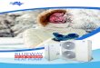 BLUEWAY · 2015-12-10 · BLUEWAY EVI. Air to Water Heat Pump is especially designed for extremely cold climate. With its innovative technology, the system is able to retrieve heat