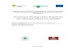 Διακρατική ολοκληρωμένη διαχείριση των ... layman report.pdf · 2012-07-02 · 3.1 Συνολικός στρατηγικός σχεδιασμός
