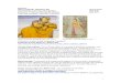 Syllabus: ARTH 104/SAST 200/SAST 500 Spring 2010 Art of ... · PDF file Shunga Art and Buddhist Populism Buddhist Caves and Urbanism Buddhist Caves and Narrative Art Section 2: University