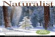 NatMuONTANAralist … · 9 Get Outside Guide Things to do and see, winter reading list, harvestmen habits 13 Community Focus Ecology Project International comes home 14 Far Afield